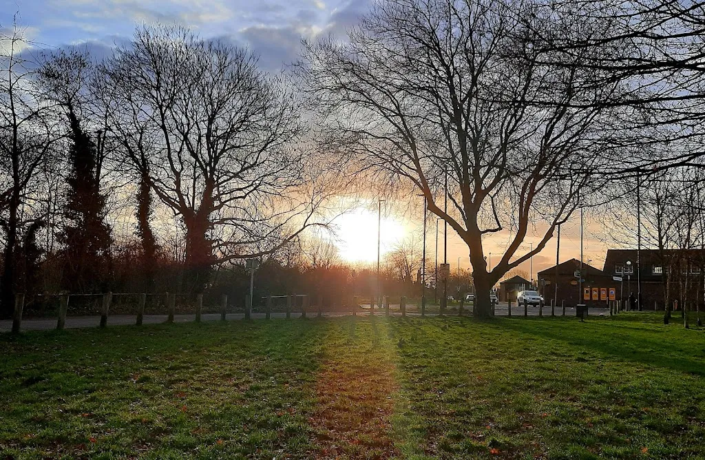 Wyke Green