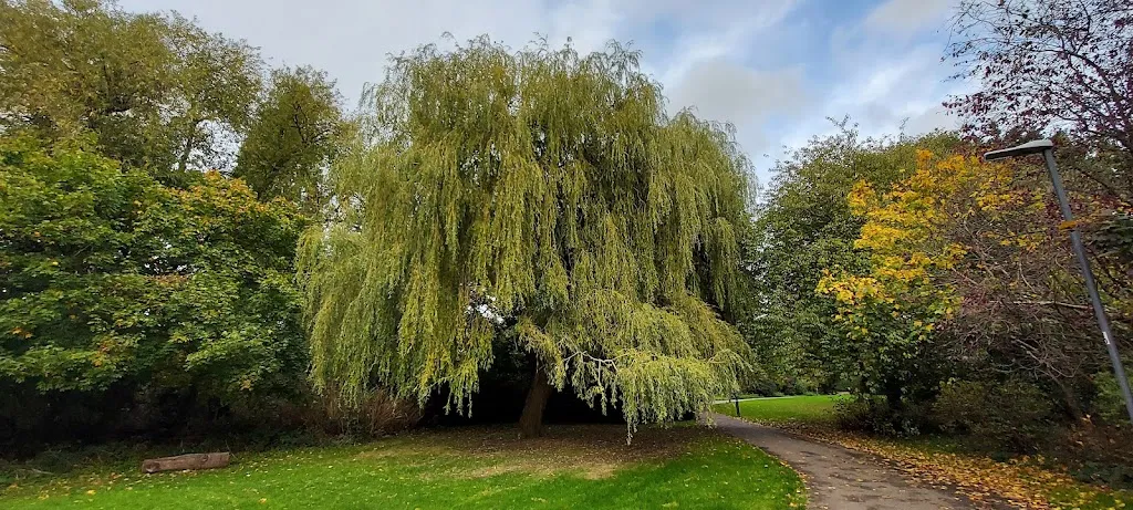 Yeading Brook Open Space