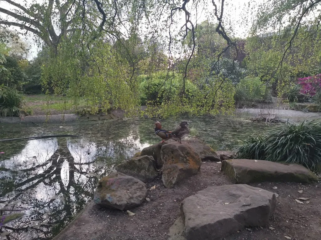 York Pond