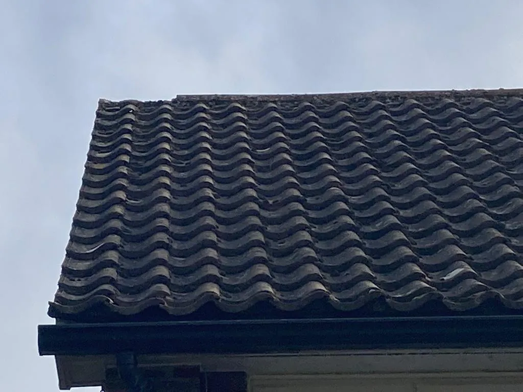 Accent Roofing & Guttering