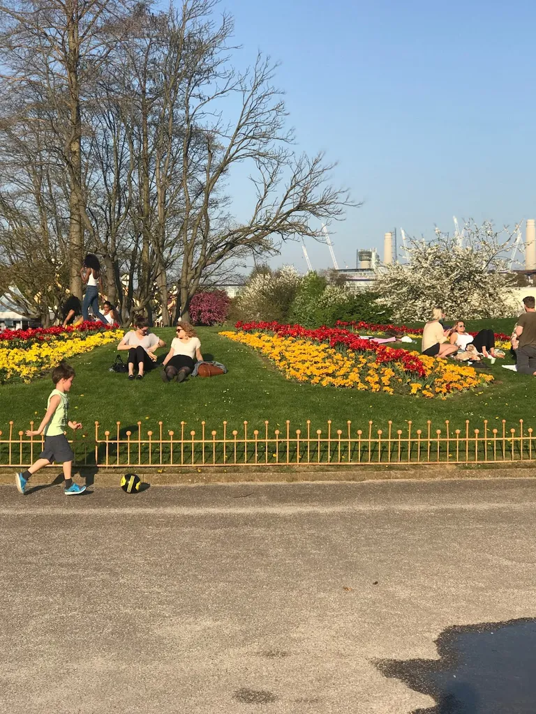 Battersea Park Physiotherapy