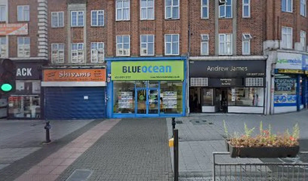 Blue Ocean Property Consultants