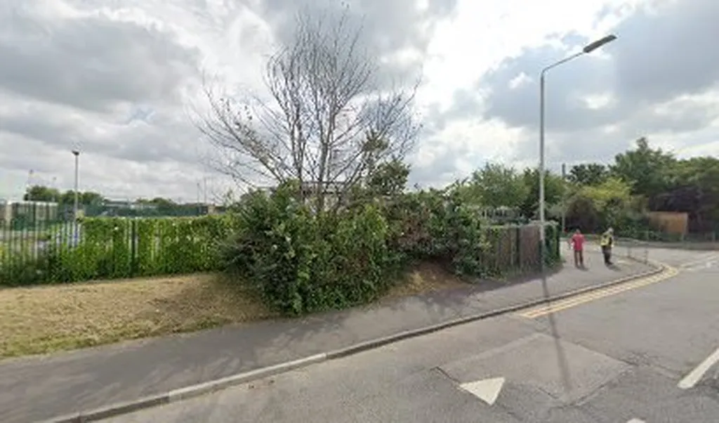 Brady Primary School