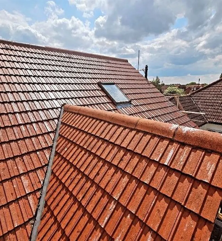 Clearview roof cleaning and moss removal