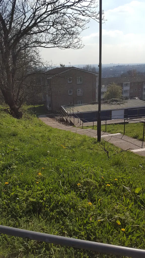 Downsview Primary School