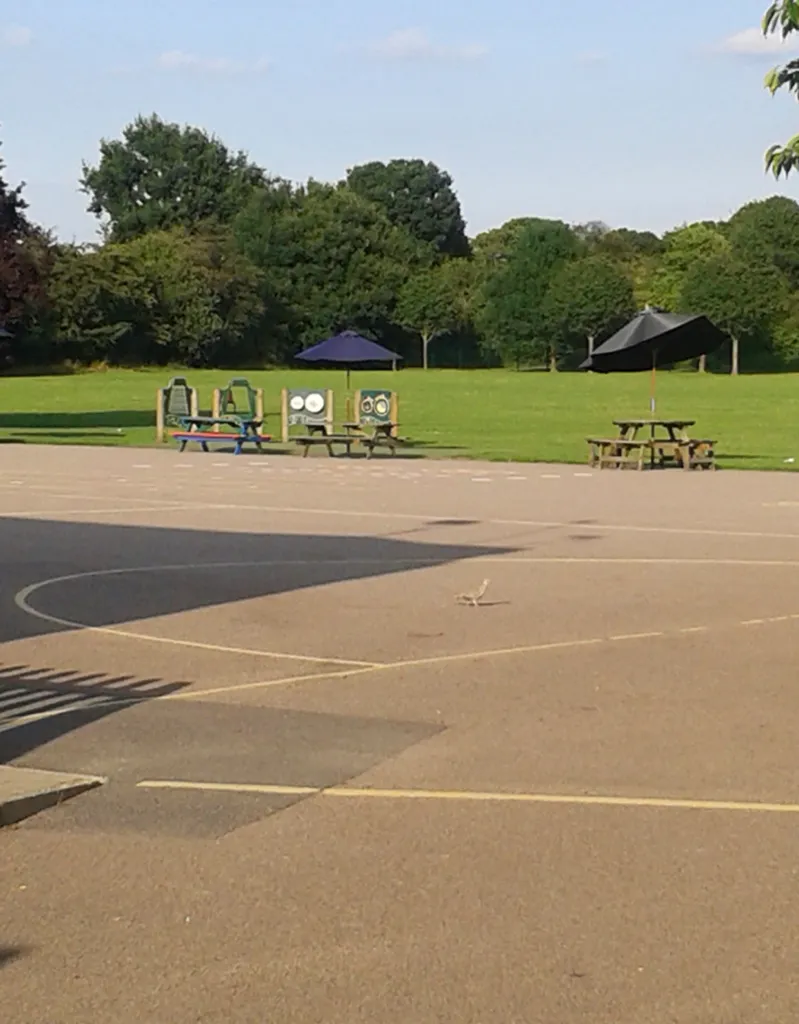 Dulverton Primary School