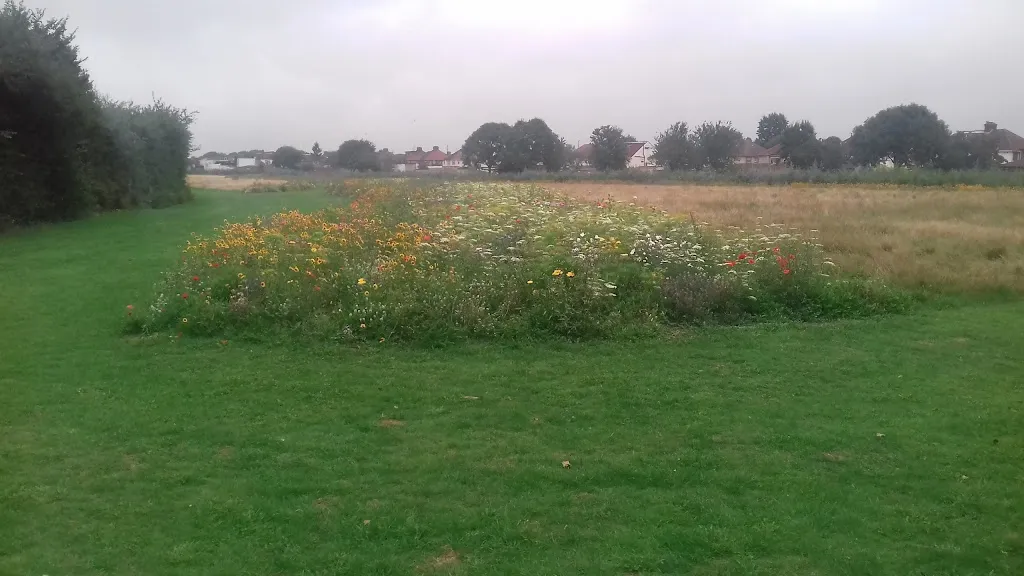 Durdan's Park Primary School