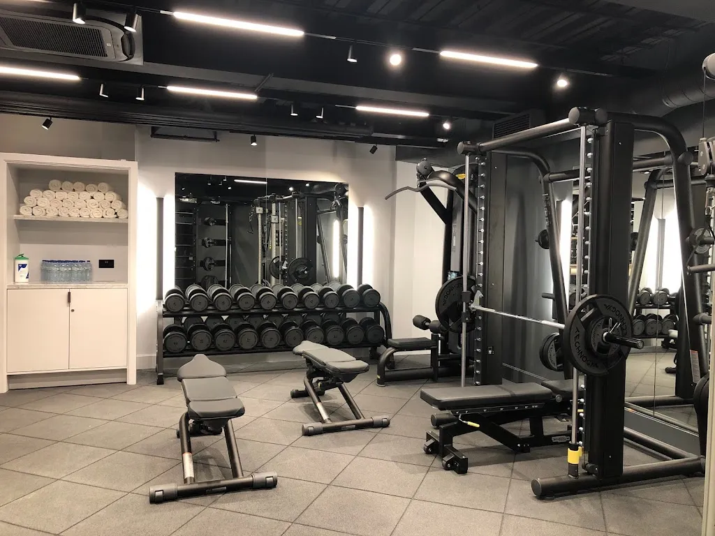 Enactive Health