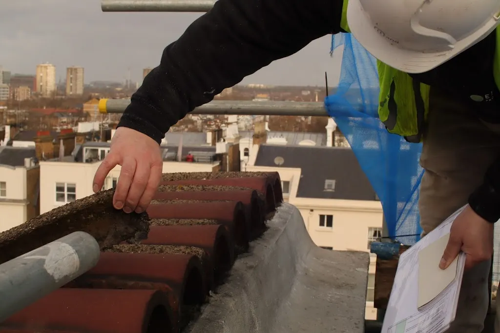 Environ Roofing Services