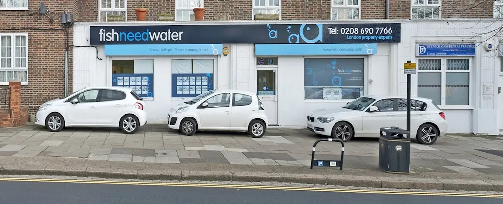 Fish Need Water