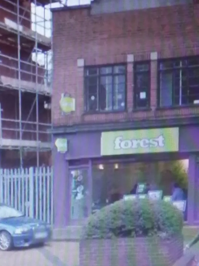 Forest estate agents ltd