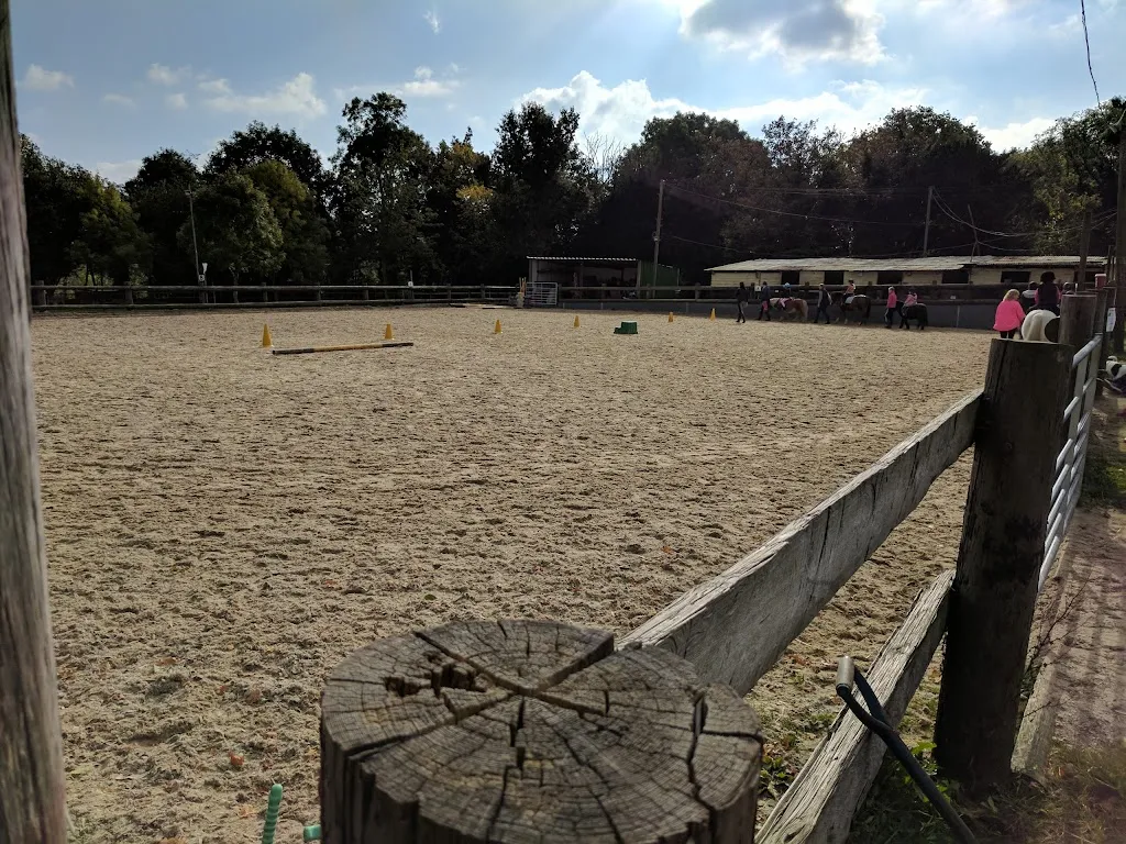 Gillian's Riding School