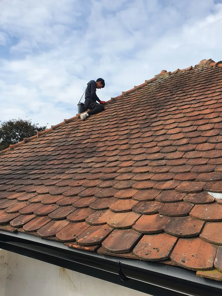 HoneyBee Roofing