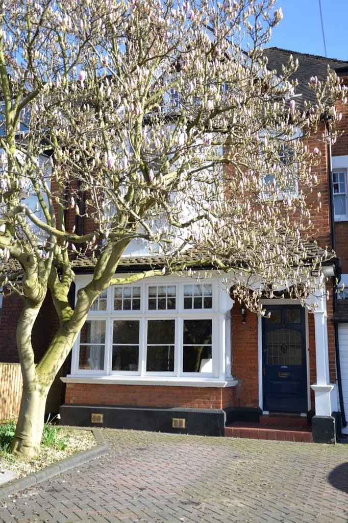 Kingston Music School (Singing Violin Viola Piano & Guitar Lessons)