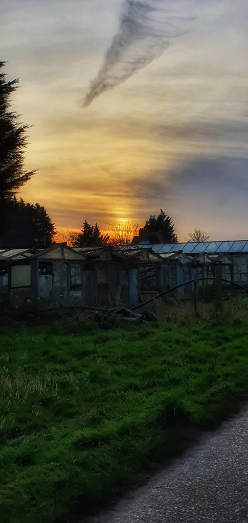 Little Woodcote Centre