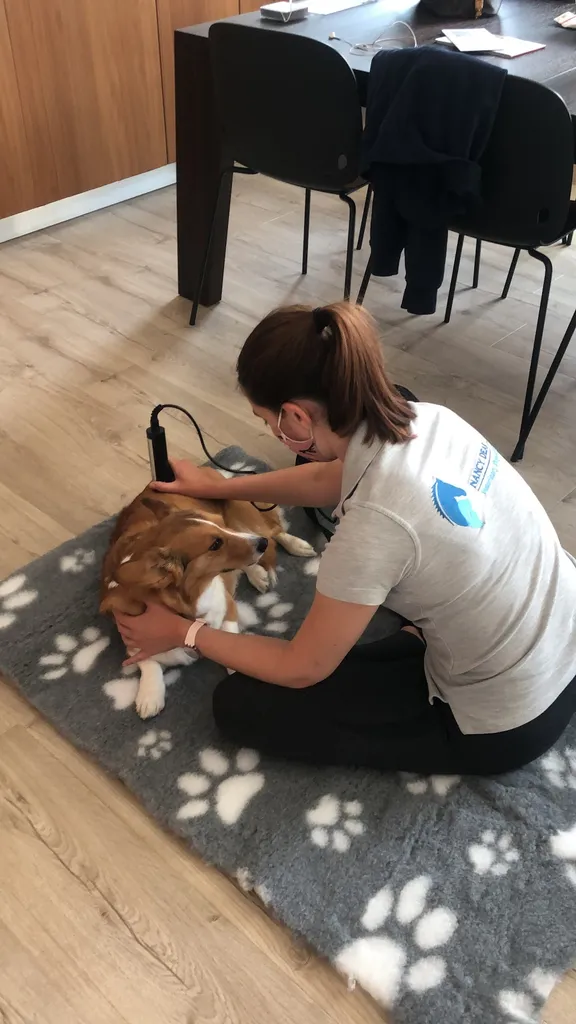 Nancy Dear Veterinary Physiotherapist