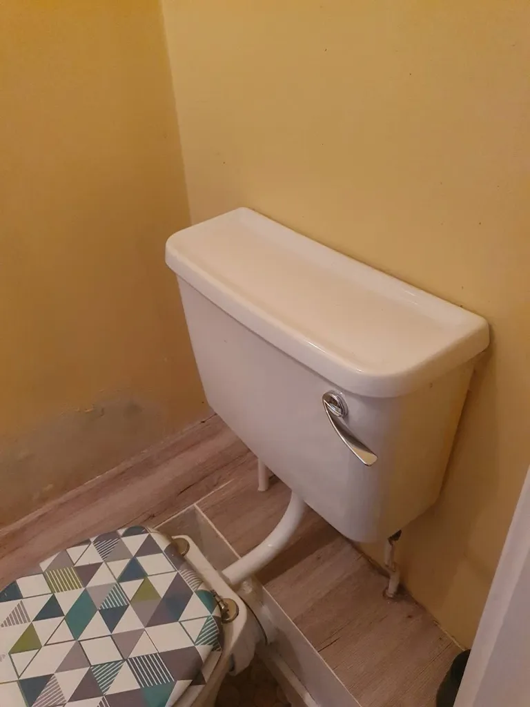 Rayes Plumbing And Heating Ltd
