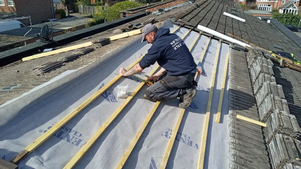 Senator roofing and building ltd