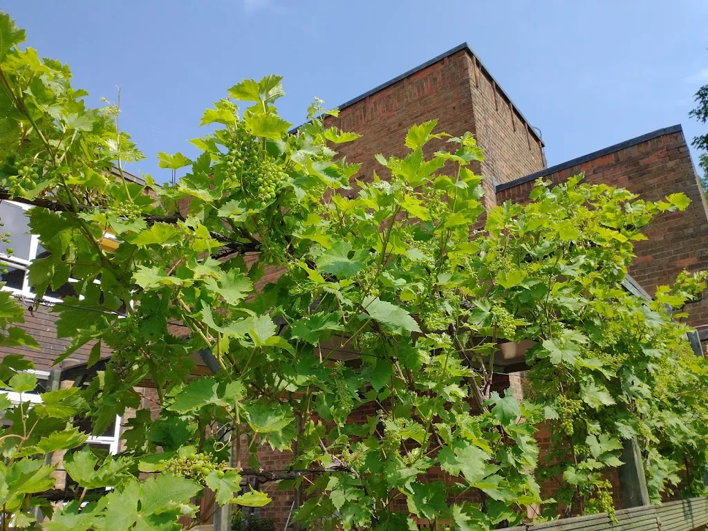 St Peter's Primary School, Woolwich