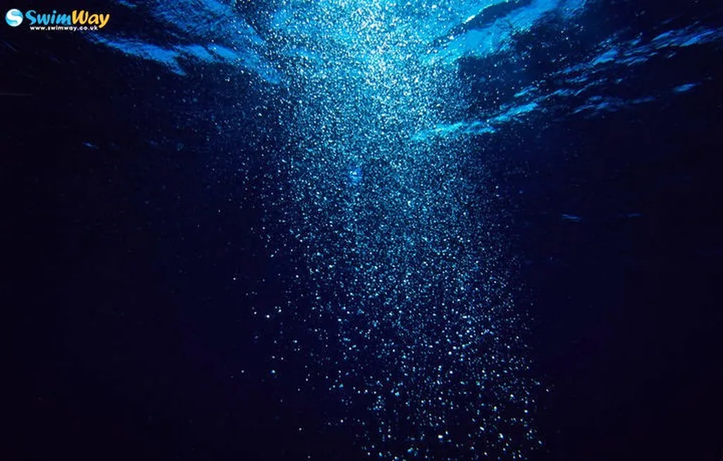 SwimWay Swimming School