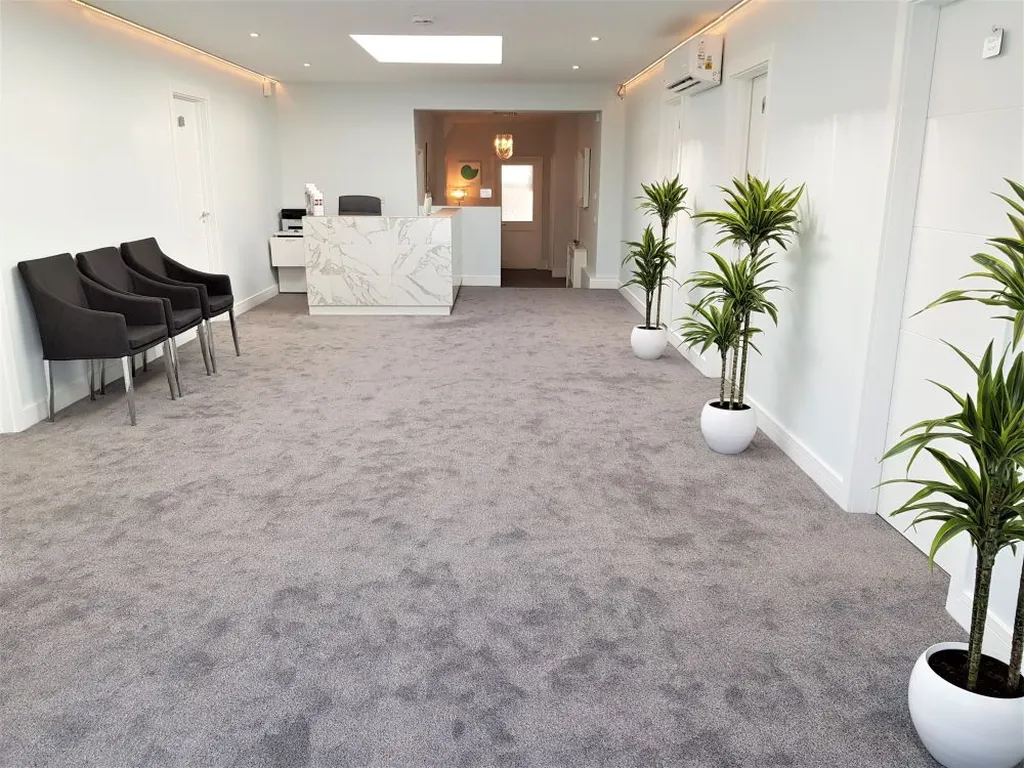 The Artemis Clinic