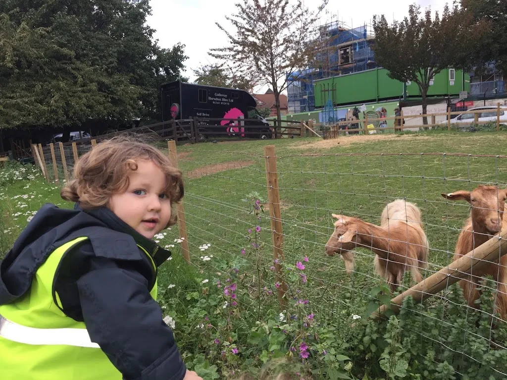 Tiny Thinkers Childcare