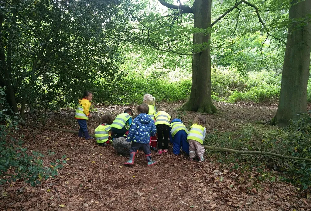Tree House Friends Childcare