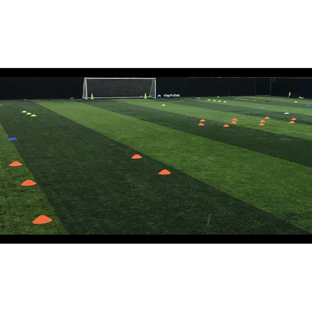 1to1 Football Coach