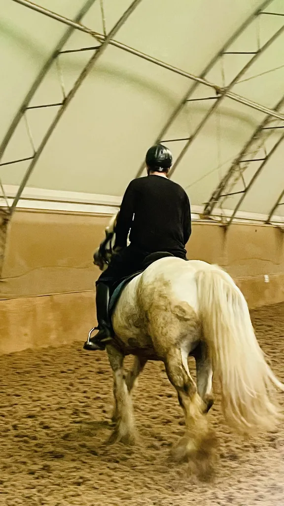 Aldersbrook Riding School