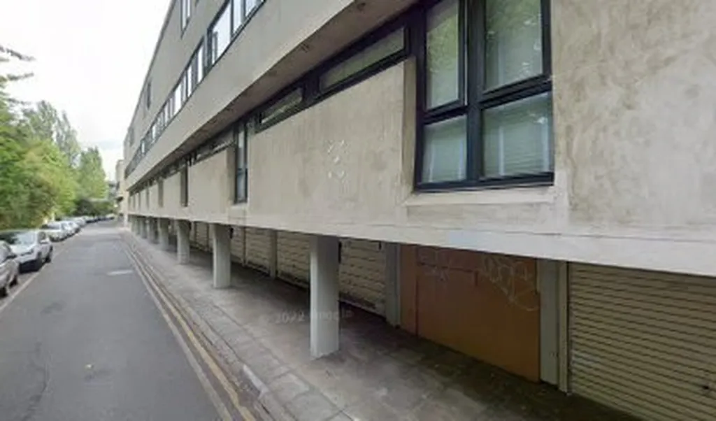 Alexandra College