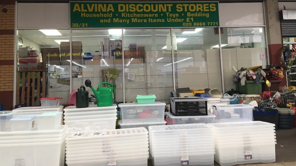 Alvina Discount Store