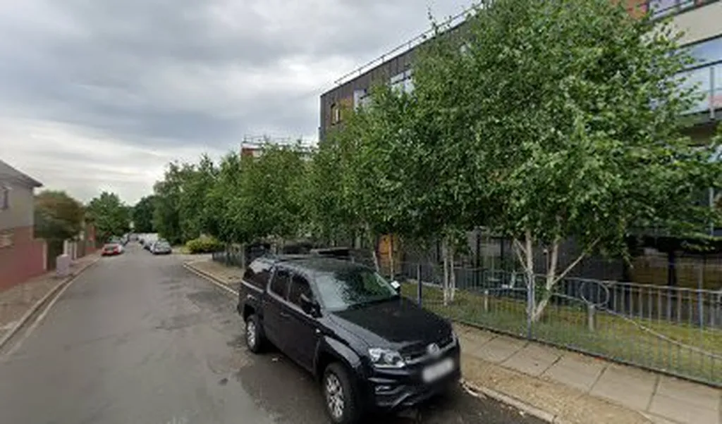 Amine's Yard