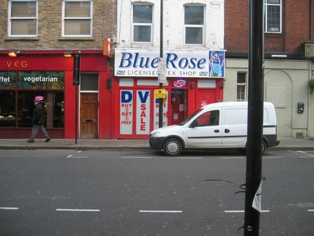 Blue Rose