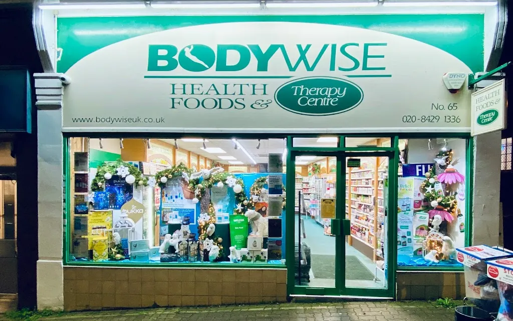 Bodywise Health Foods