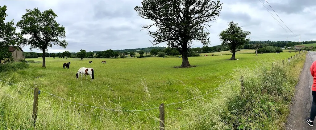 Bury Farm