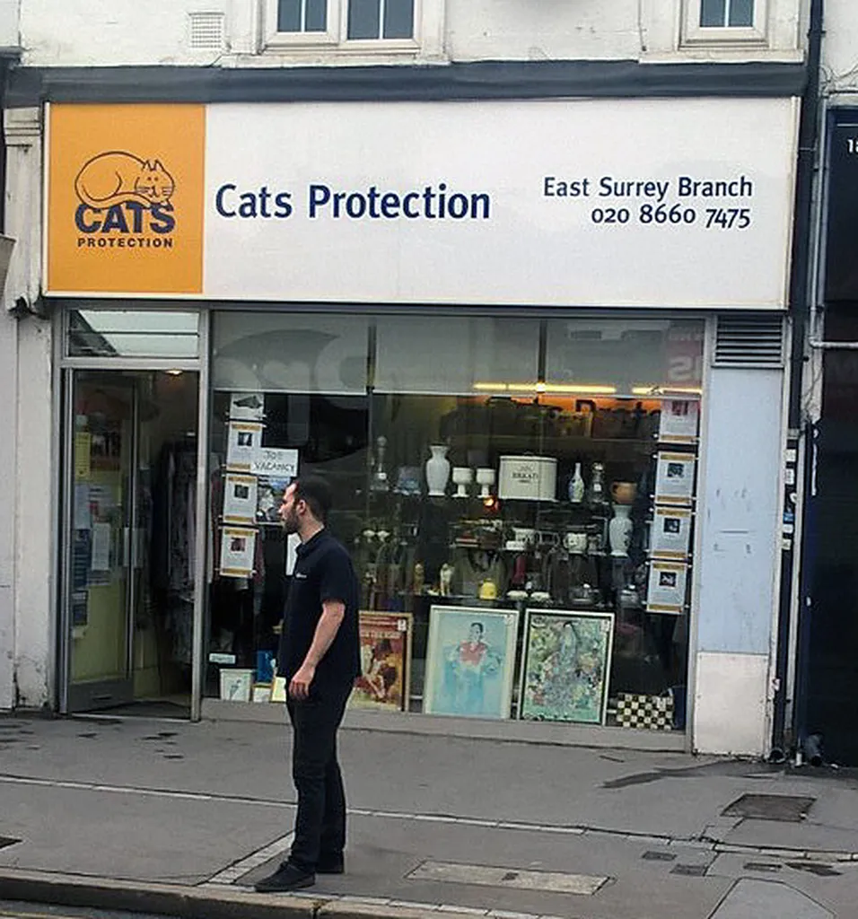 Cats Protection - Caterham, Redhill & East Surrey Charity Shop