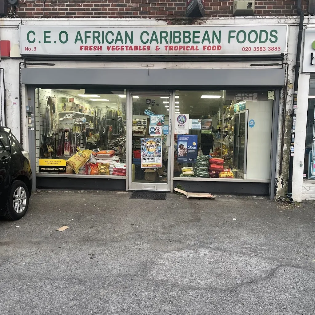 CEO African Caribbean Foods