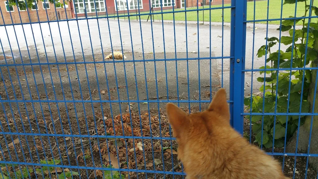 Dorothy Barley Infant School
