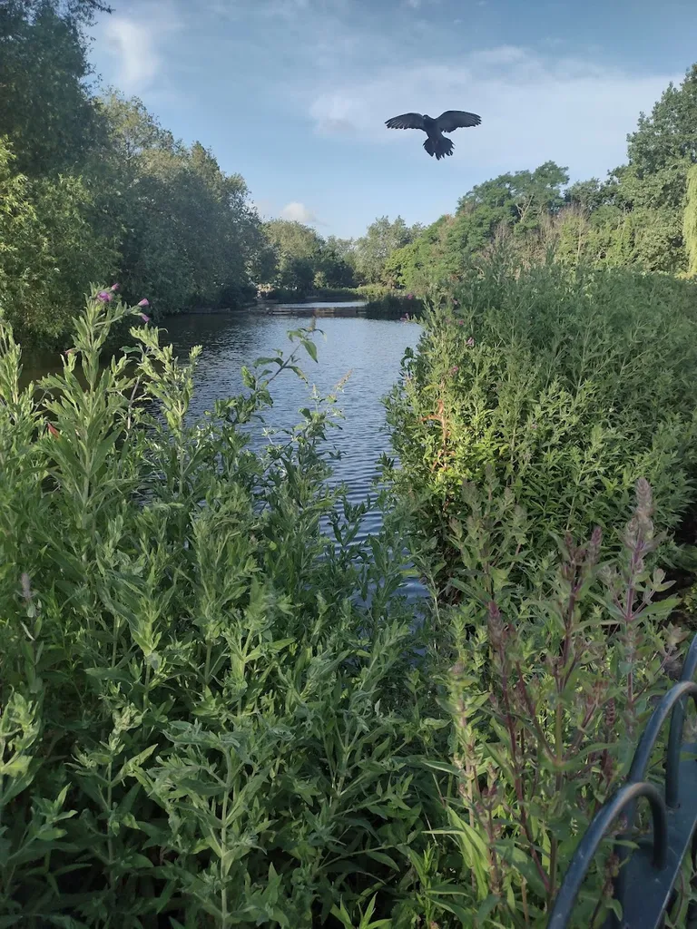 Finsbury Park Sports
