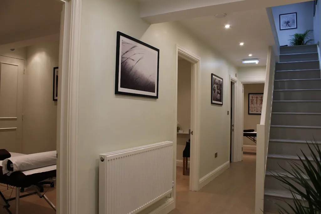 Fulham Massage & Wellness