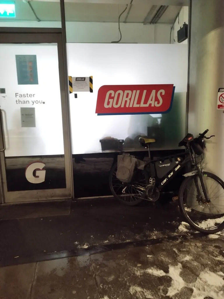 Gorillas