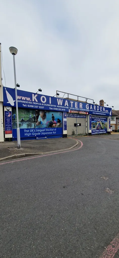 Koi Water Garden