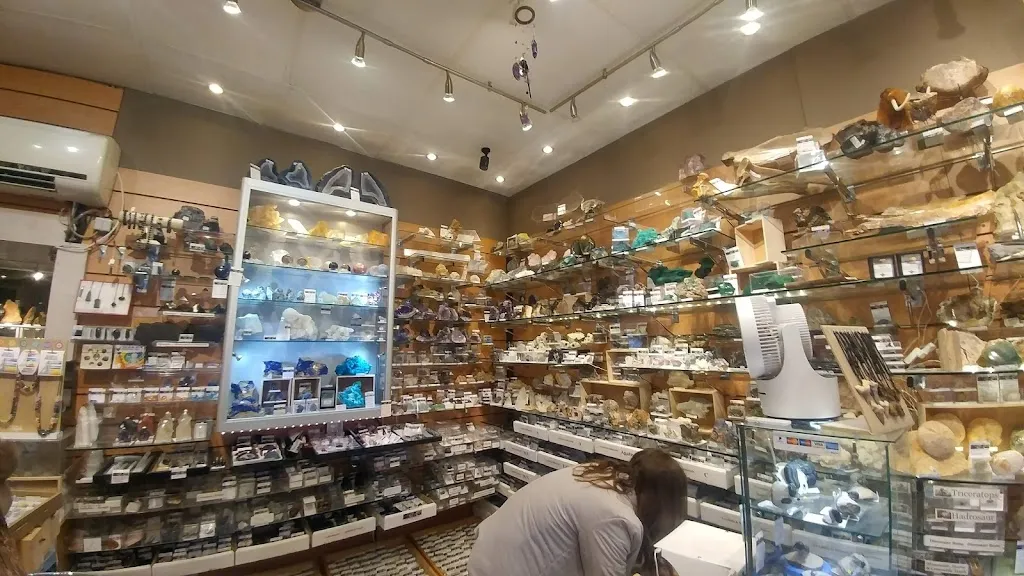 London Fossils and Crystals