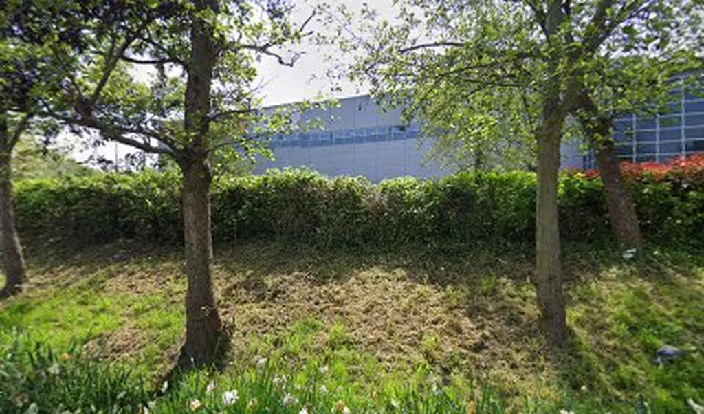 M&S