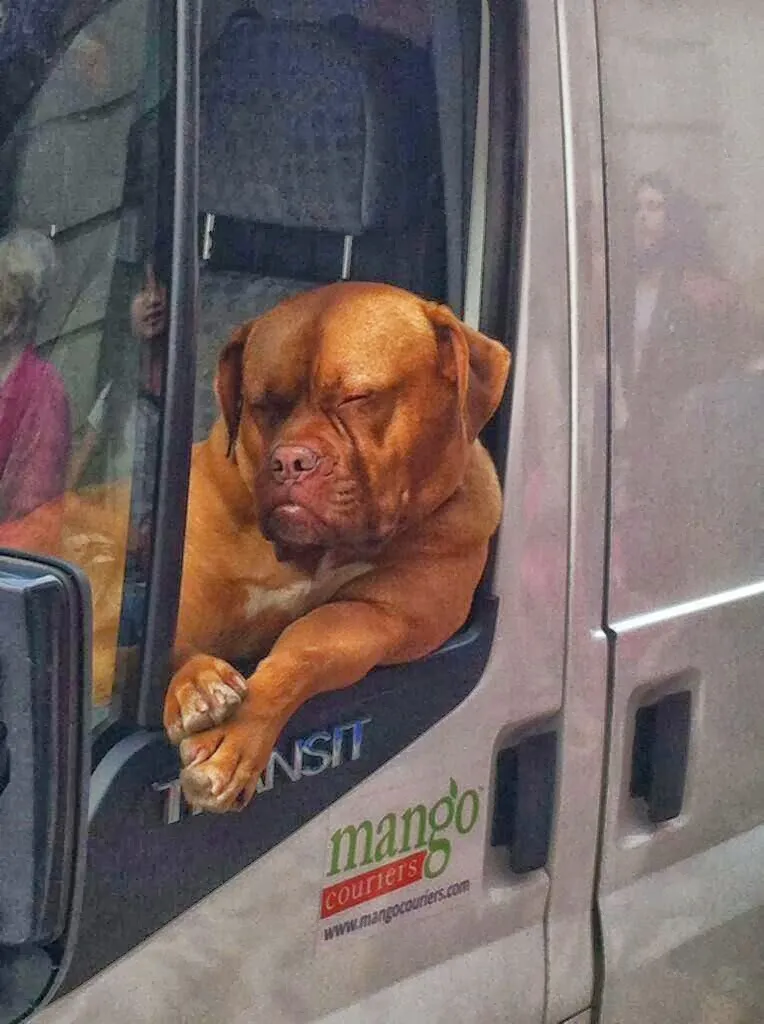 Mango Storage
