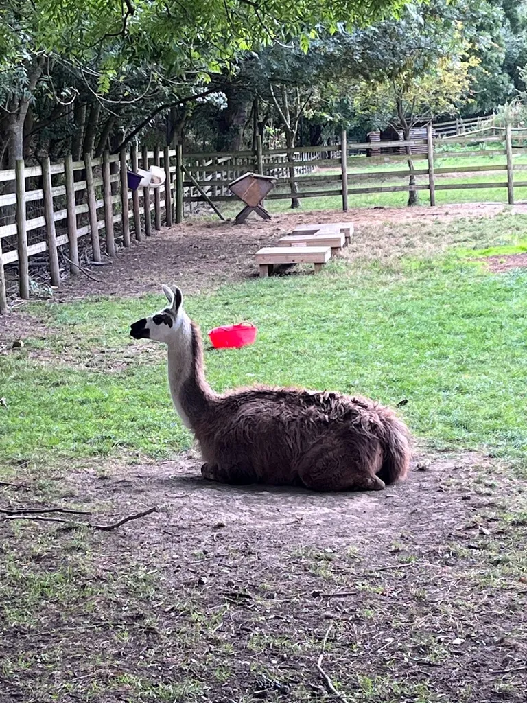 Mudchute Farm Day Nursery