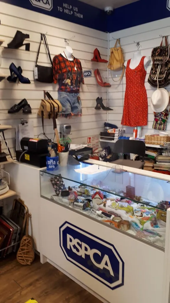 RSPCA Shop - Croydon