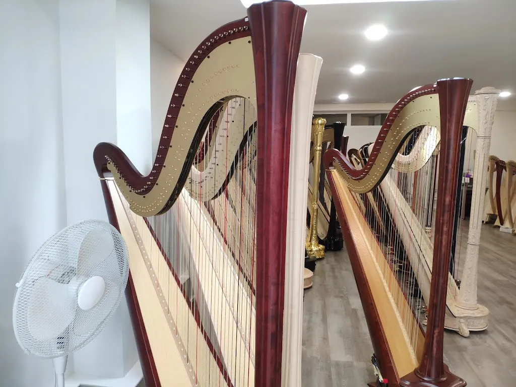 Salvi Music London