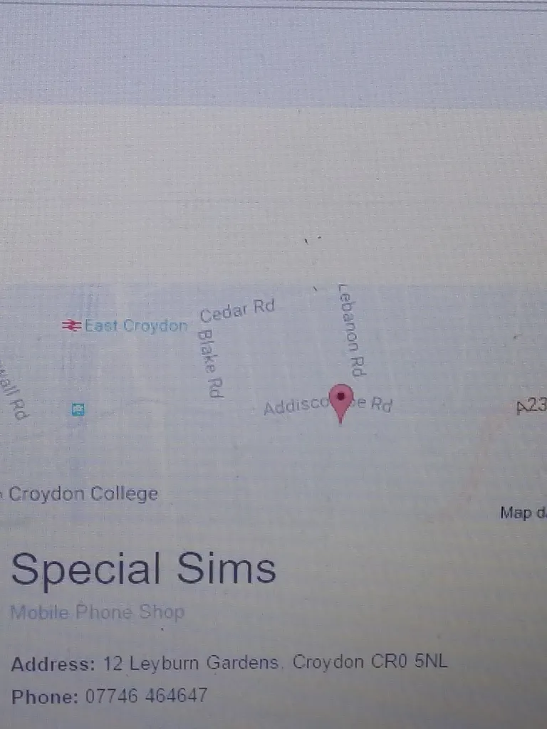 Special Sims