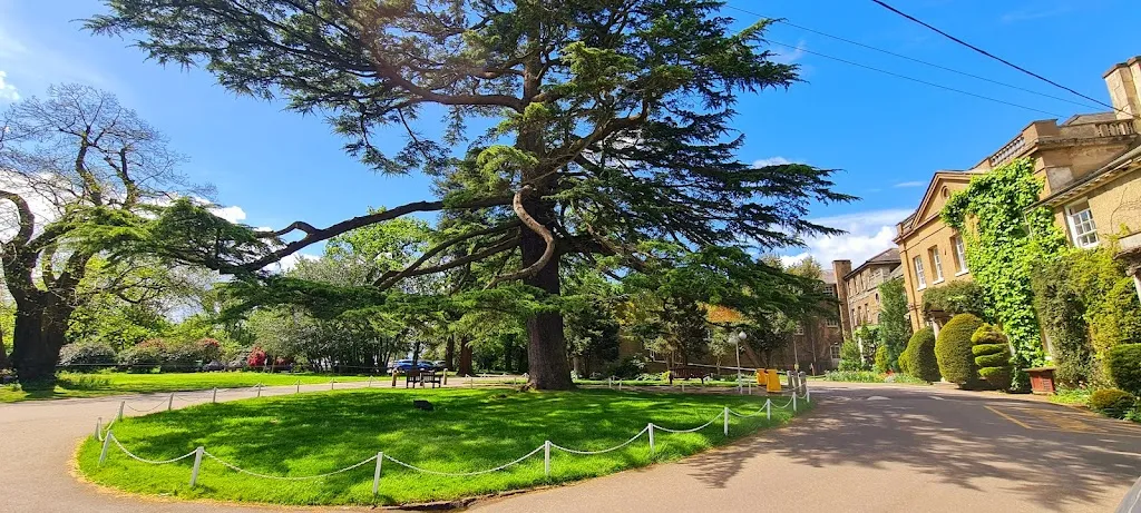 St. John's Senior School